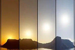 Plants are illuminated