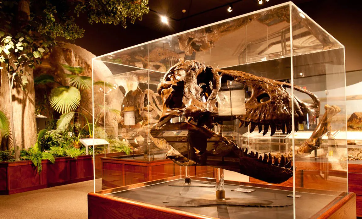 LED G53 Lampen Museum